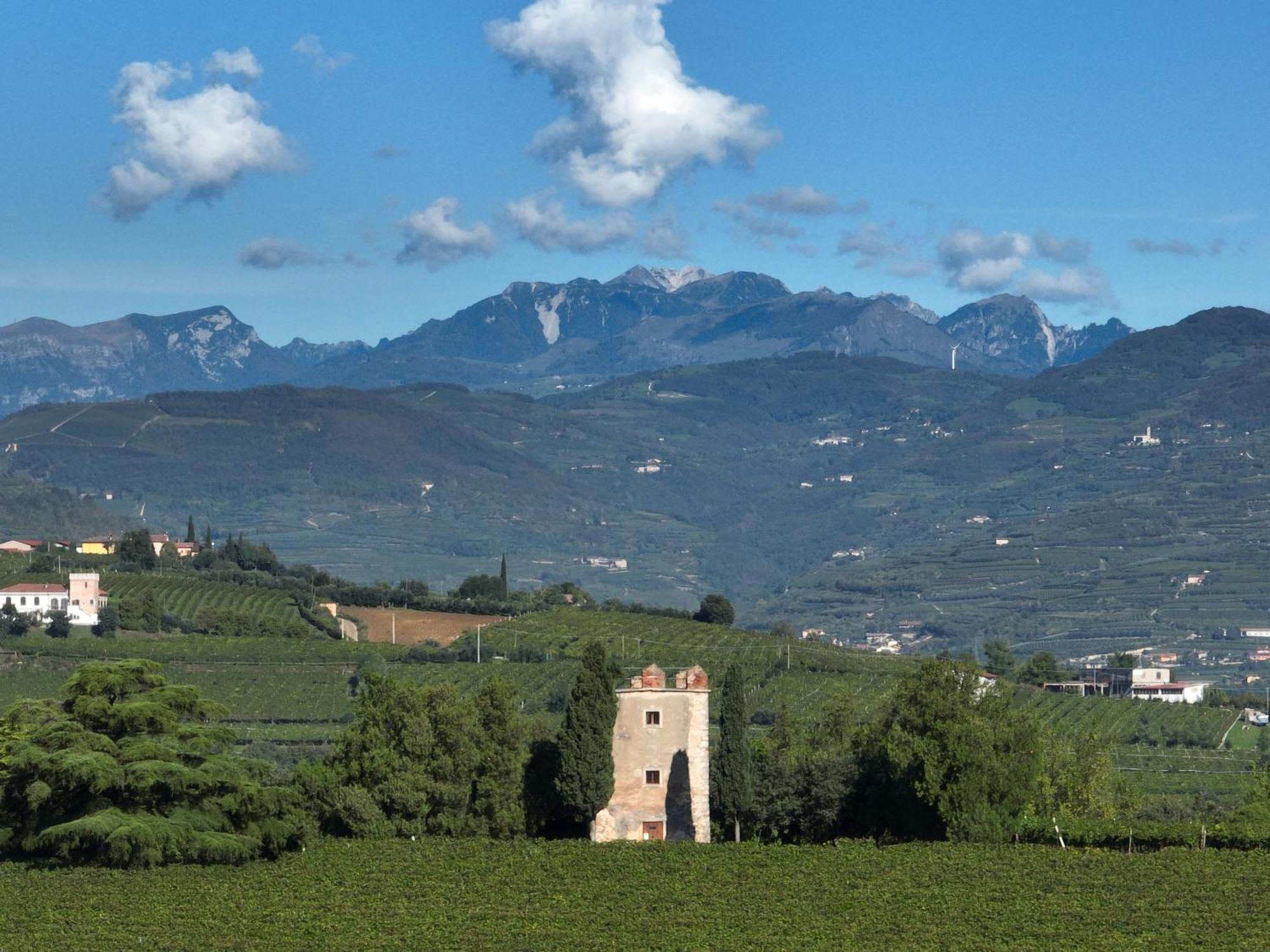 Agriturismo Monte Bisson Soave  Esterno foto